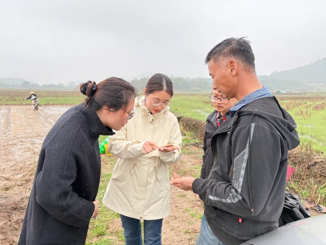 从春天出发 向丰年而行！各地气象部门抢抓农时助春耕