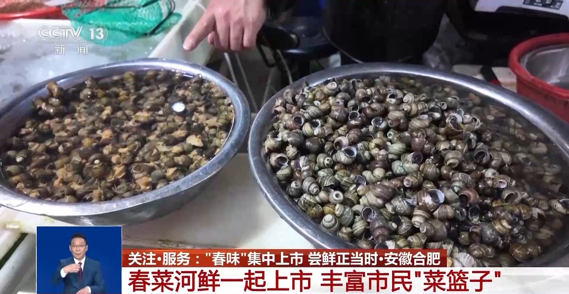 春天吃什么？这份春菜地图请查收