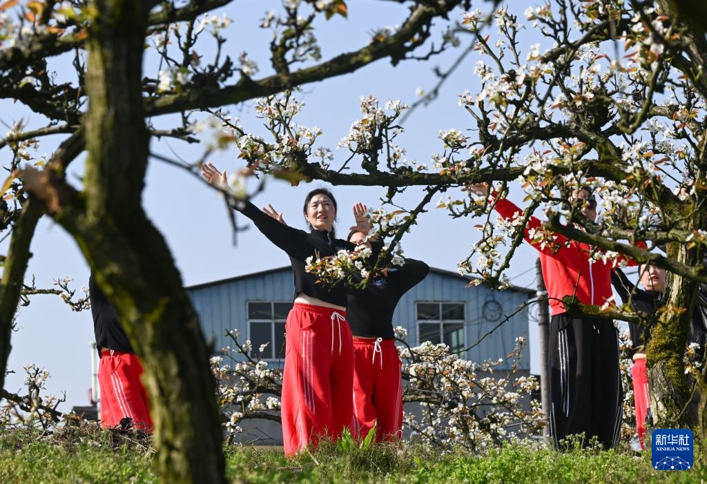 重庆永川：千树万树梨花开 农旅融合促增收