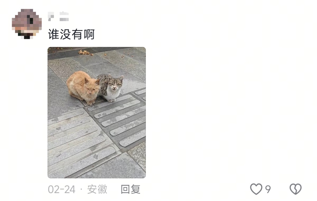 新晋网红!老虎版“没头脑”和“不高兴”爆火出圈 新晋网红!老虎版“没头脑”和“不高兴”爆火出圈