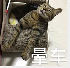 一坐网约车电车就晕车？专家：确实可能增加晕车的概率