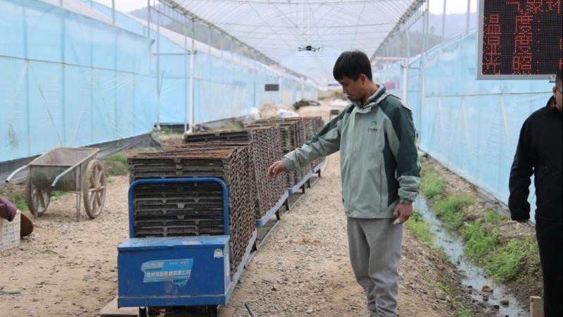 江西:“育秧工厂”陆续开启 集中高效开展早稻育秧 江西:“育秧工厂”陆续开启 集中高效开展早稻育秧