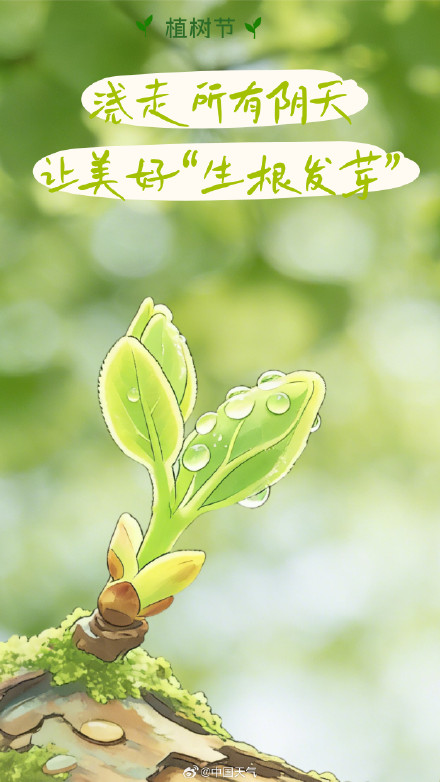 “植”此青绿 不负春光