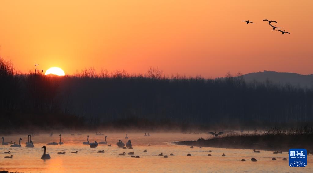 辽宁北票:白羽曼舞天鹅湾 辽宁北票:白羽曼舞天鹅湾