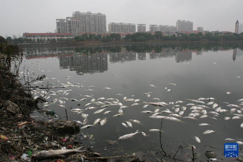 湖南常德:一水柔蓝 烟火两岸 湖南常德:一水柔蓝 烟火两岸