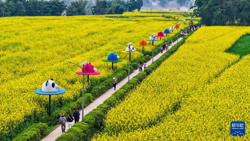 重庆潼南：油菜花开迎客来