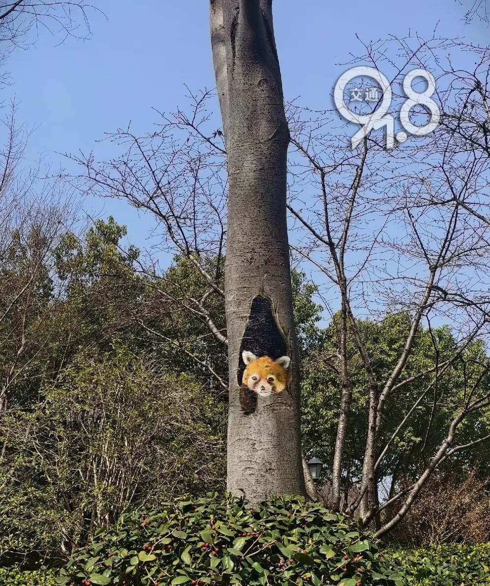 杭州一高架上惊现“神秘图案”！网友浮想联翩，还有更绝的