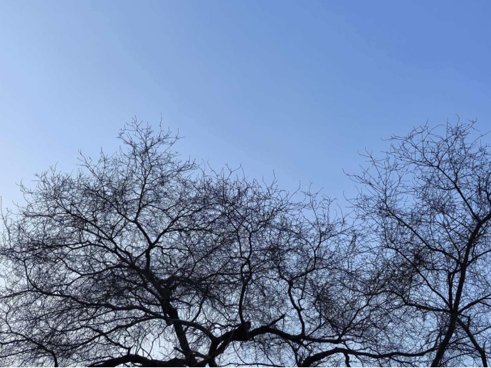 厚衣服先别收!辽宁大范围雨雪就要来了,具体这样下 厚衣服先别收!辽宁大范围雨雪就要来了,具体这样下