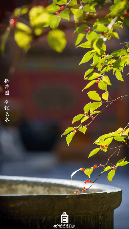 植树节故宫壁纸又上新了