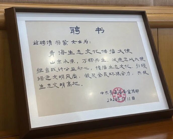 知名上海演员胡歌，有新身份！