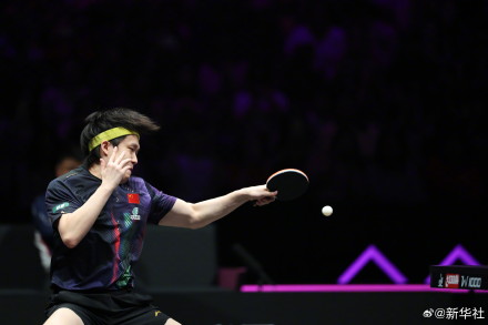 王楚钦3比0弗朗西斯卡