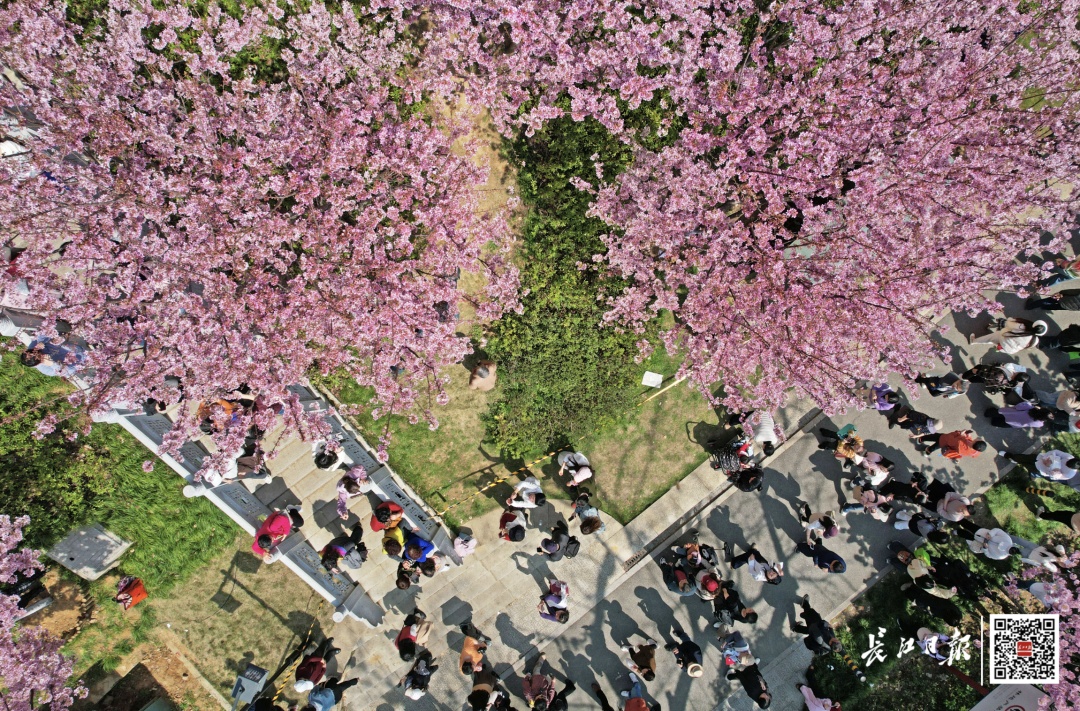 猛降12℃!武汉人秋裤别忙脱,接下来太刺激…… 猛降12℃!武汉人秋裤别忙脱,接下来太刺激……