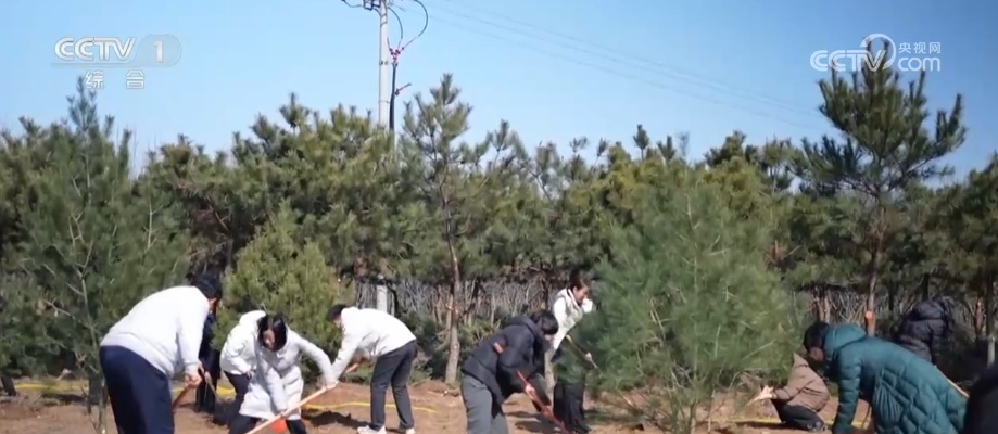 “码上种树”添新绿 国土绿化从“多多种树”迈向“种好管好”新阶段