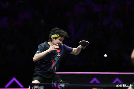 王楚钦3比0弗朗西斯卡