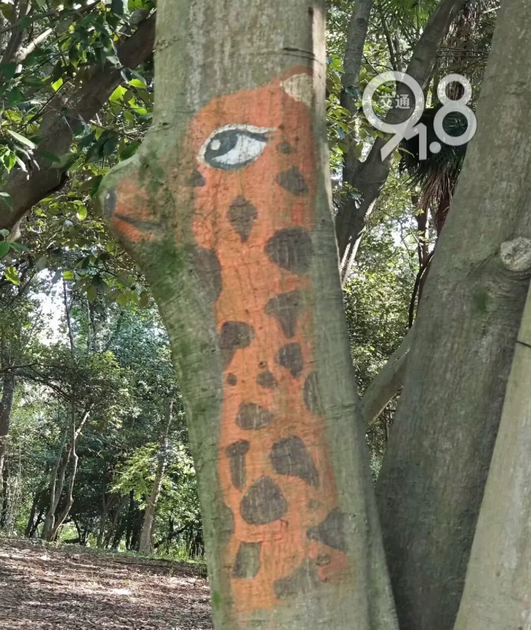 杭州一高架上惊现“神秘图案”！网友浮想联翩，还有更绝的