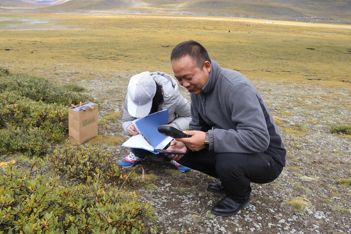 中国人种树到底有多厉害？