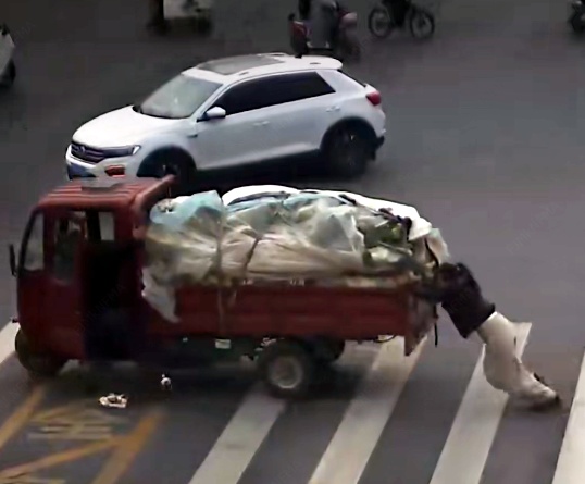 聊城“推车姐”，火了！