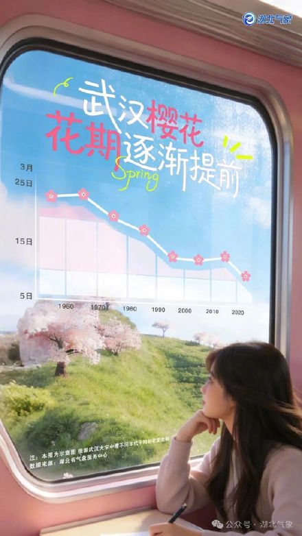 大数据盘点 樱花花期悄悄在改变 大数据盘点 樱花花期悄悄在改变