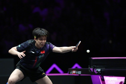 王楚钦3比0弗朗西斯卡