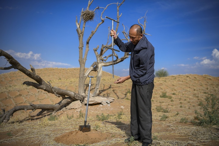 中国人种树到底有多厉害？