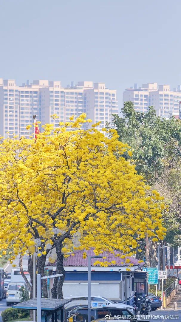注意关窗!易感人群近期请注意戴口罩 注意关窗!易感人群近期请注意戴口罩