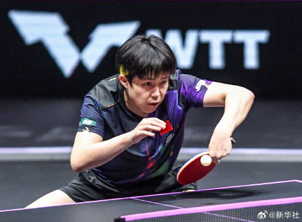 王楚钦3比0弗朗西斯卡