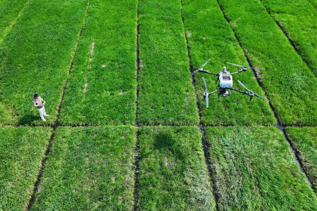 两会经济热点快评|今年的“1.4万亿斤左右”,有何不一样? 两会经济热点快评|今年的“1.4万亿斤左右”,有何不一样?