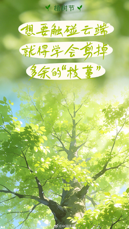 “植”此青绿 不负春光