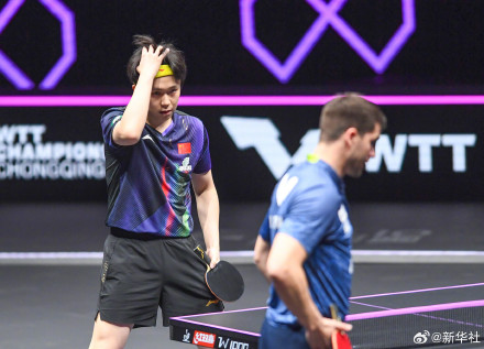 王楚钦3比0弗朗西斯卡