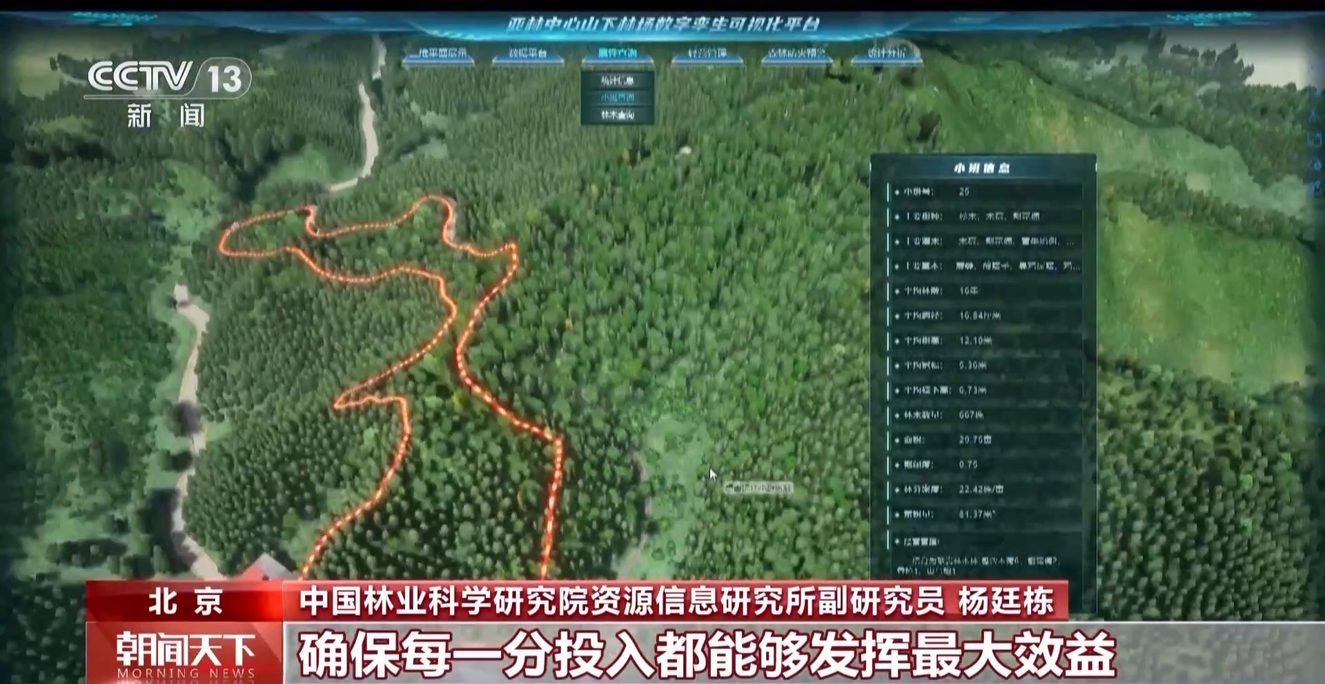 解锁绿色新高度 全球新增绿化面积四分之一来自中国 解锁绿色新高度 全球新增绿化面积四分之一来自中国