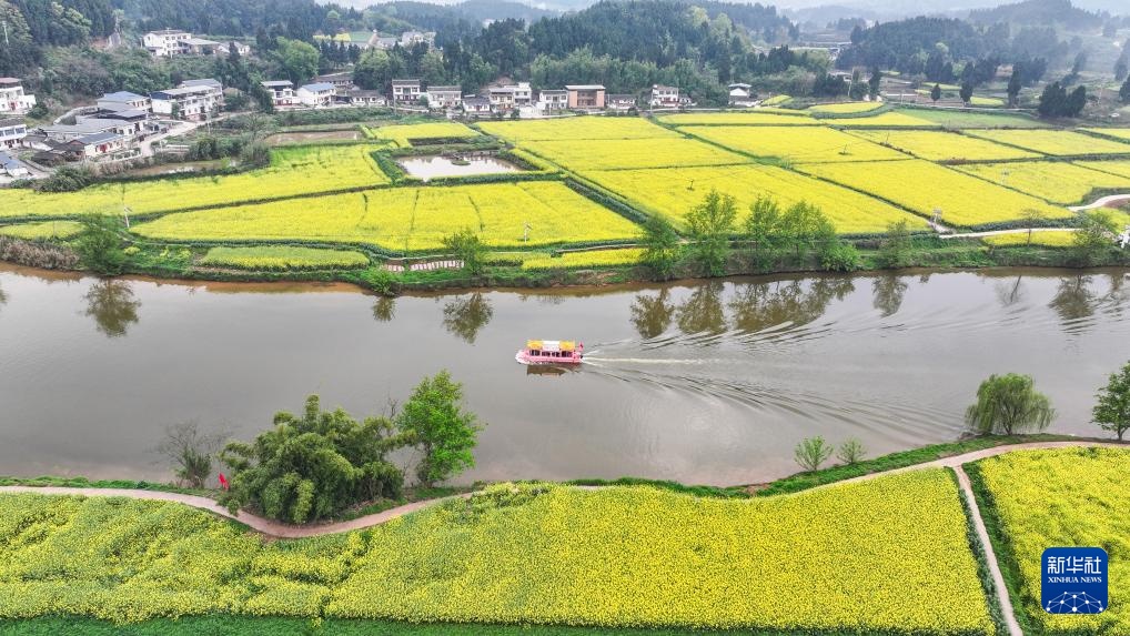 重庆潼南：油菜花开迎客来