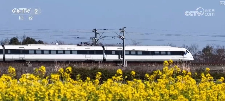 赏花不再只是“看风景” 多样场景为“春日经济”增添崭新活力