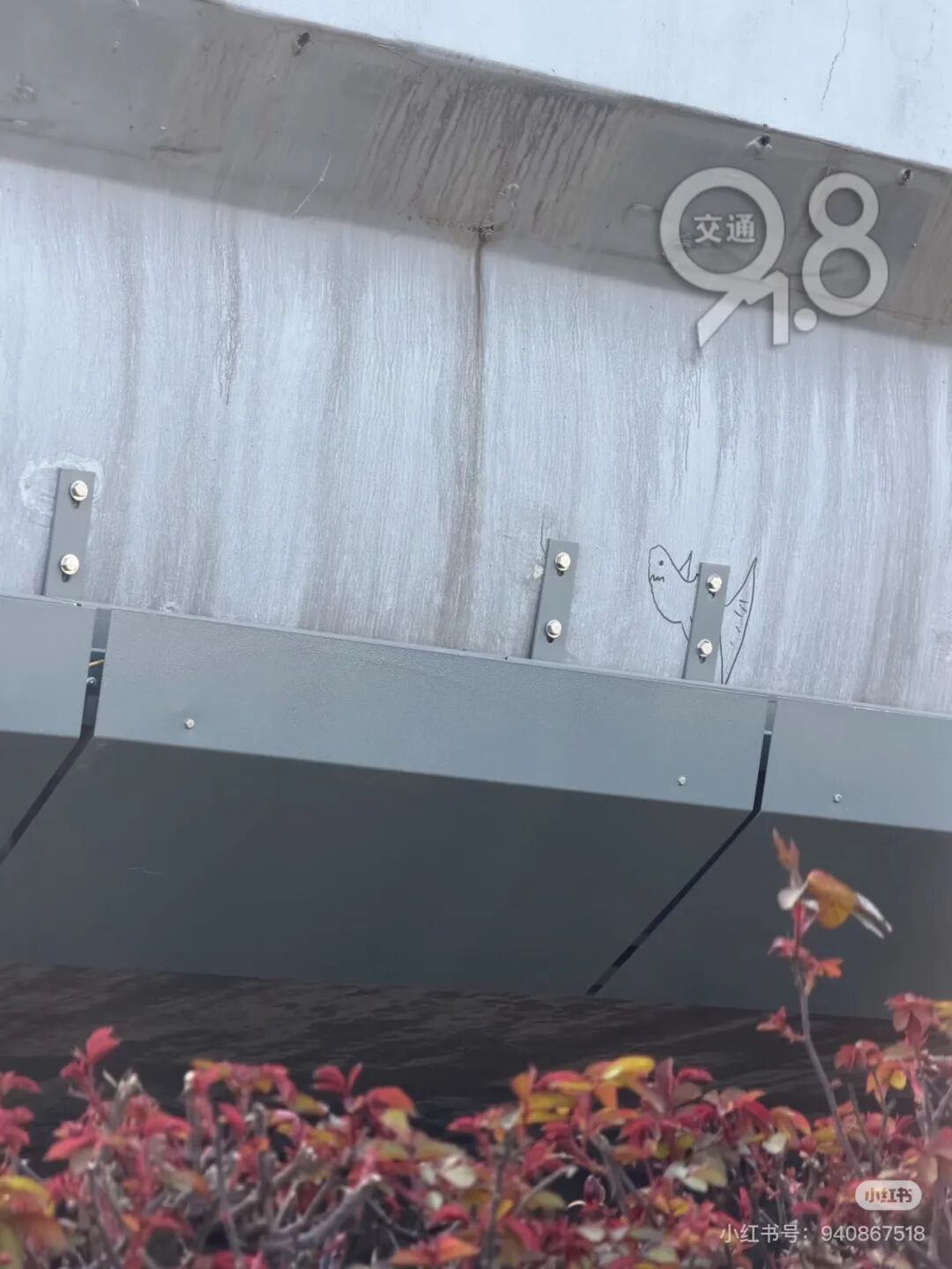 杭州一高架上惊现“神秘图案”！网友浮想联翩，还有更绝的