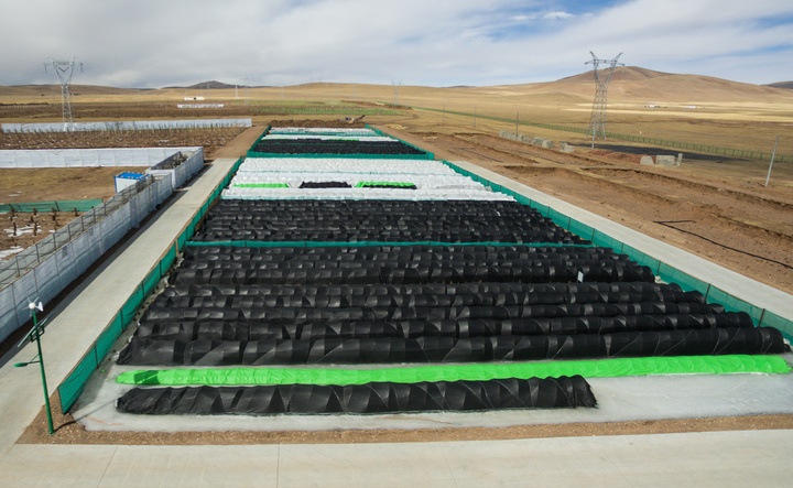 中国人种树到底有多厉害？