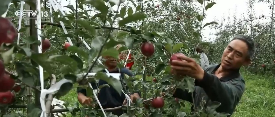 春植新绿既见“颜值”更有“内涵” “数”说绿色“家底”转化成惠民红利 春植新绿既见“颜值”更有“内涵” “数”说绿色“家底”转化成惠民红利