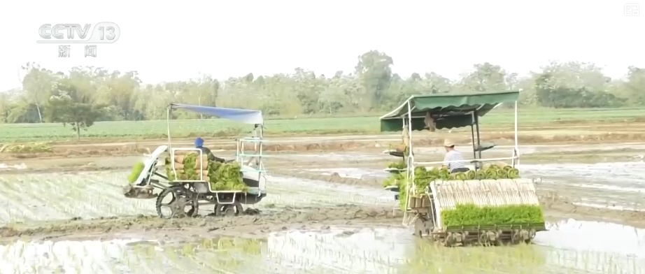 “科技+服务”护航春耕生产 为全年粮食稳产丰收筑牢根基