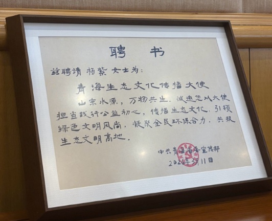 杨紫、胡歌获聘“青海生态文化传播大使” 杨紫、胡歌获聘“青海生态文化传播大使”