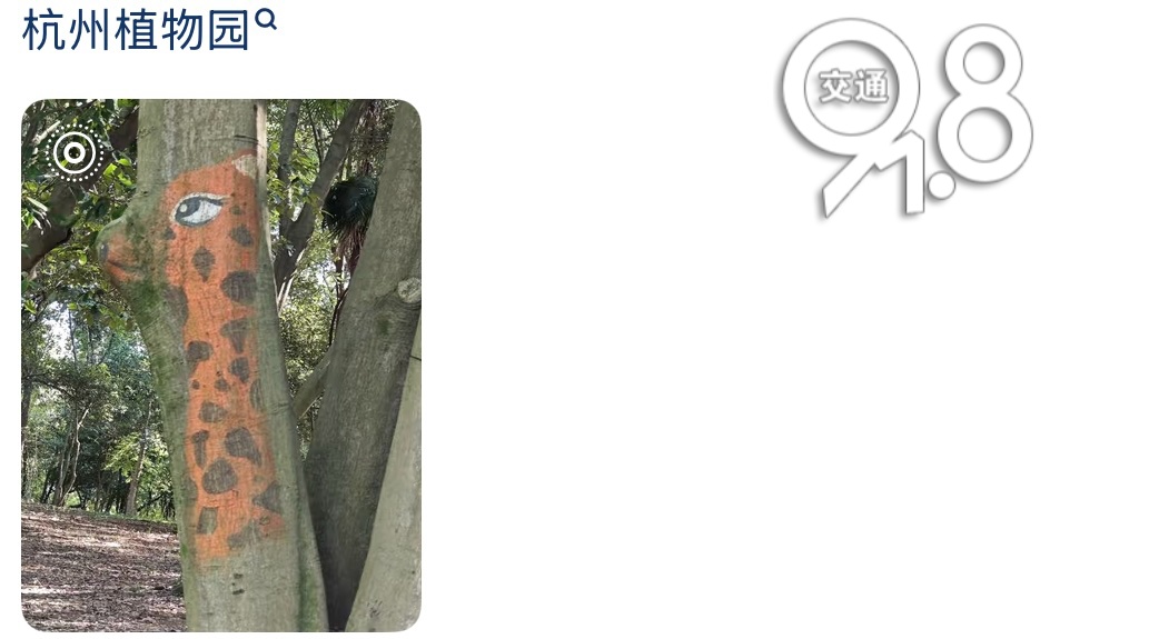 杭州一高架上惊现“神秘图案”！网友浮想联翩，还有更绝的