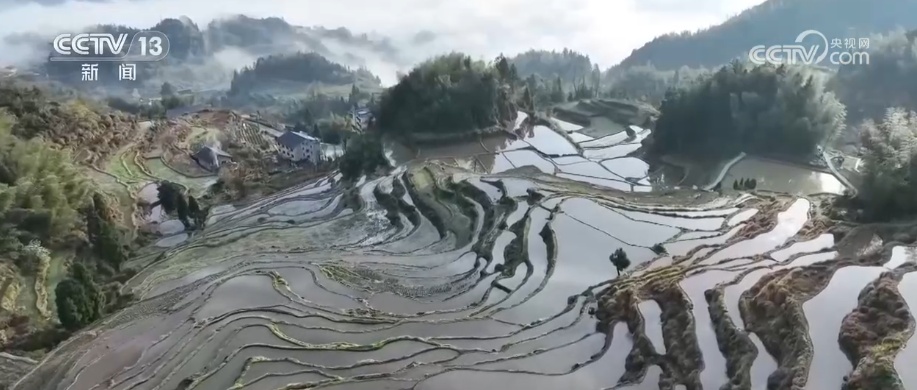 “科技+服务”护航春耕生产 为全年粮食稳产丰收筑牢根基