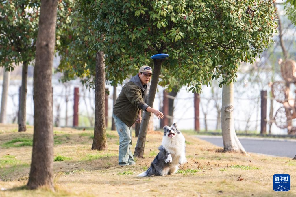 湖南常德:一水柔蓝 烟火两岸 湖南常德:一水柔蓝 烟火两岸