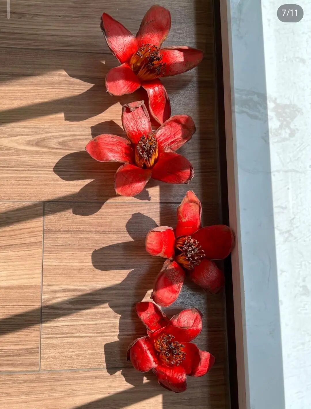 素未谋面！上海姑娘一句“想看”，隔天就收到广州网友寄来的浪漫……