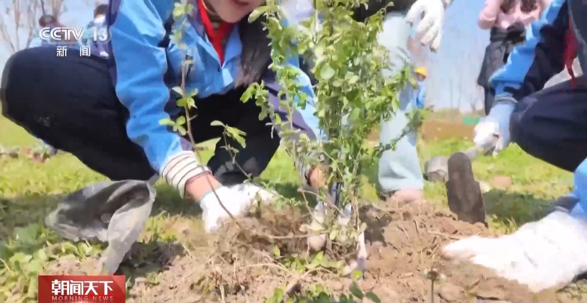 解锁绿色新高度 全球新增绿化面积四分之一来自中国 解锁绿色新高度 全球新增绿化面积四分之一来自中国