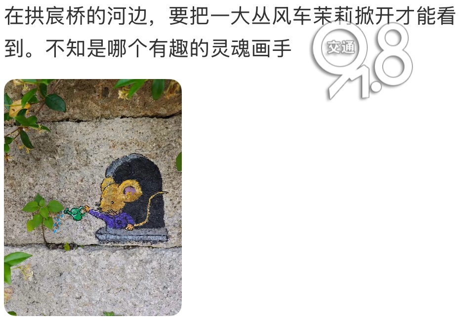 杭州一高架上惊现“神秘图案”！网友浮想联翩，还有更绝的