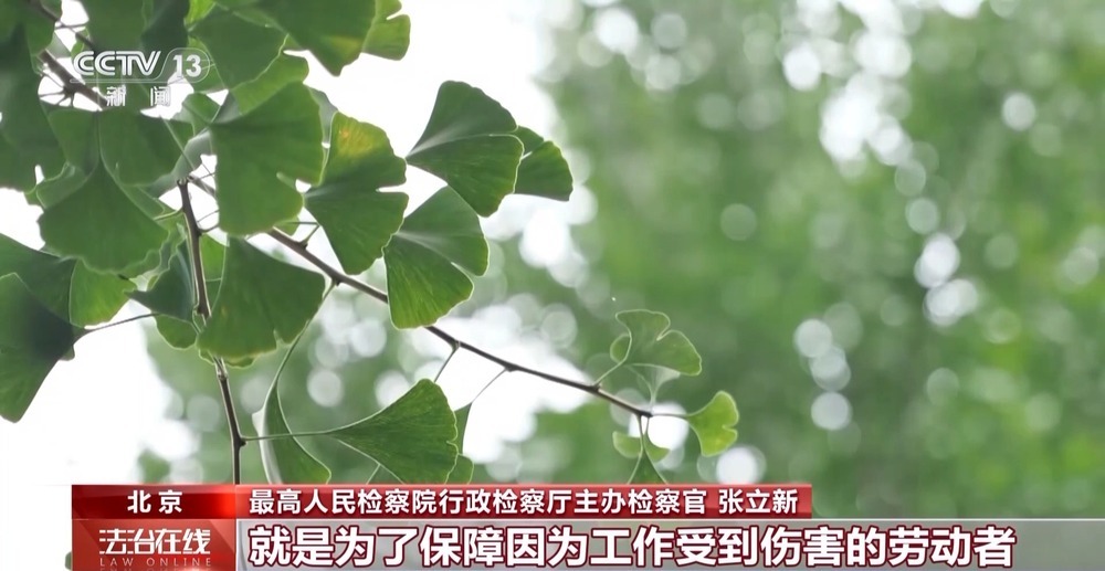 法治在线丨上班途中遇事故难以认定工伤?司法机关履行职责保护劳动者权益 法治在线丨上班途中遇事故难以认定工伤?司法机关履行职责保护劳动者权益