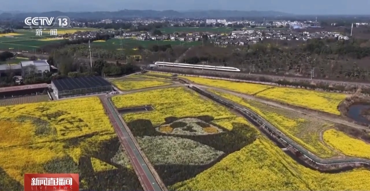 搭上“开往春天的列车” 打卡成雅铁路沿线美景