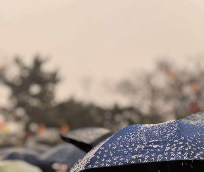 厚衣服先别收!辽宁大范围雨雪就要来了,具体这样下 厚衣服先别收!辽宁大范围雨雪就要来了,具体这样下