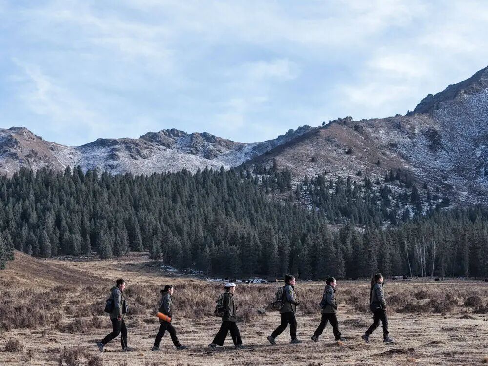 三江源雪豹保护模式为亚洲国家提供借鉴 三江源雪豹保护模式为亚洲国家提供借鉴