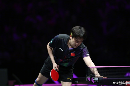 王楚钦3比0弗朗西斯卡