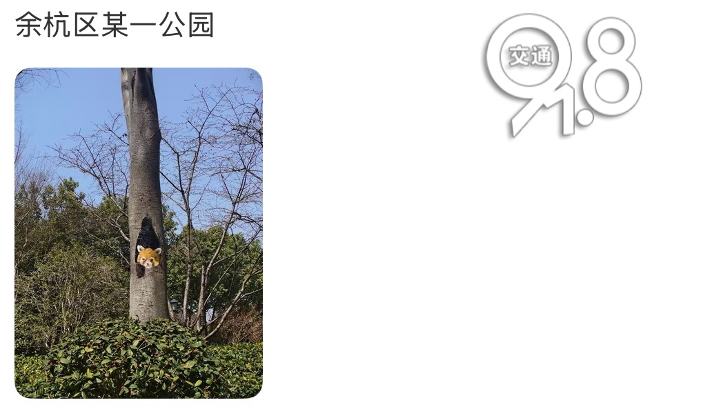 杭州一高架上惊现“神秘图案”！网友浮想联翩，还有更绝的