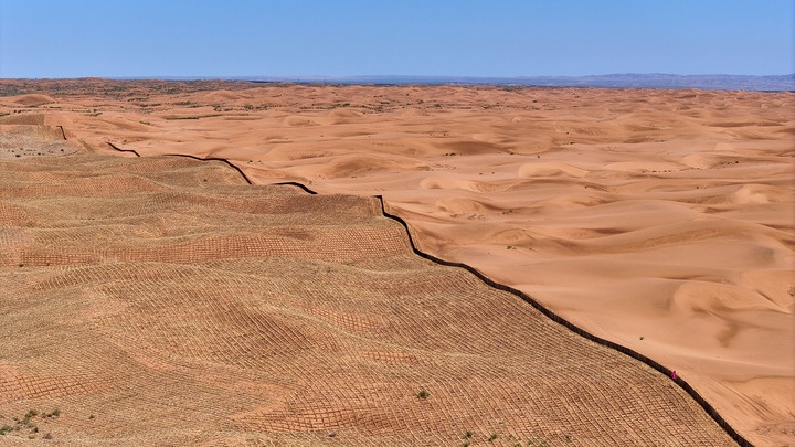 中国人种树到底有多厉害？